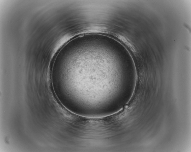 X0000096951469200802081218