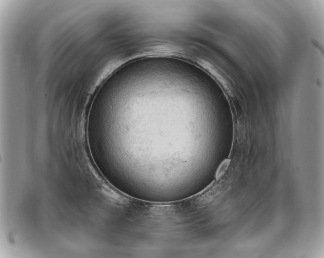 X0000096951477200802081218