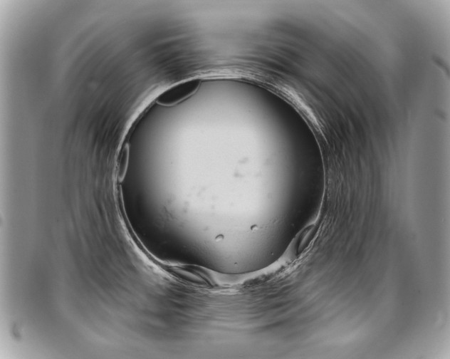 X0000096951484200802081218