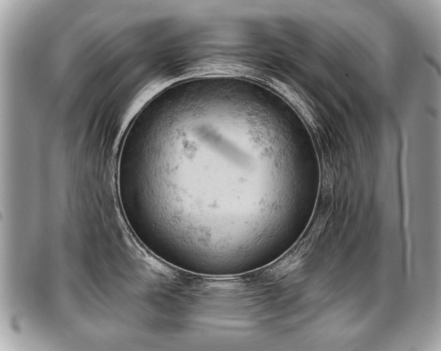 X0000096951486200802081218