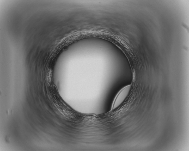 X0000096951492200802081217