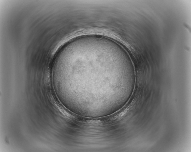 X0000096951498200802081217