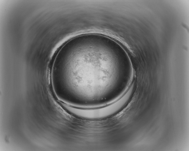 X0000096951510200802081217