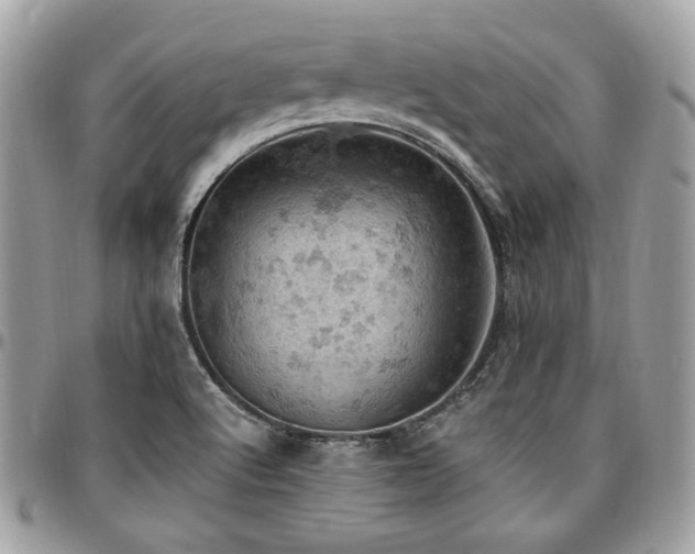 X0000096951512200802081217