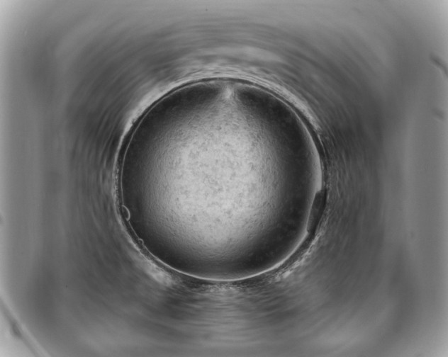 X0000096951525200802081217