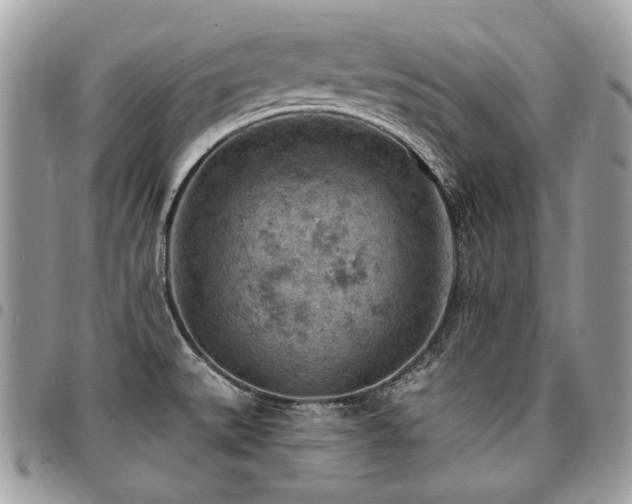 X0000096951527200802081217