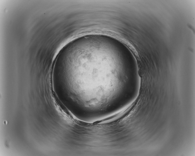 X0000096951530200802081218