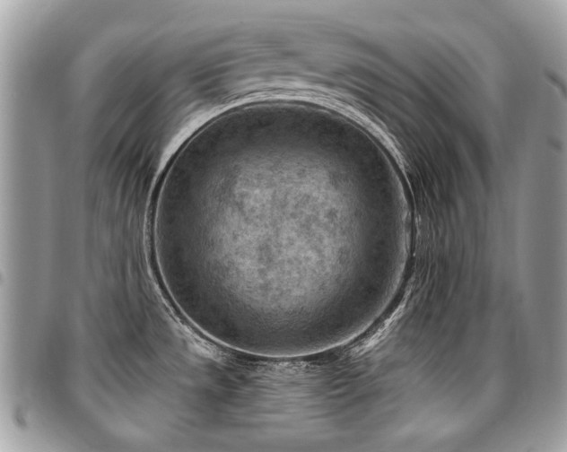 X0000096951533200802081218