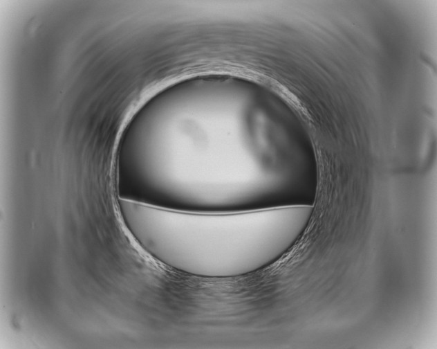 X0000096951536200802081218