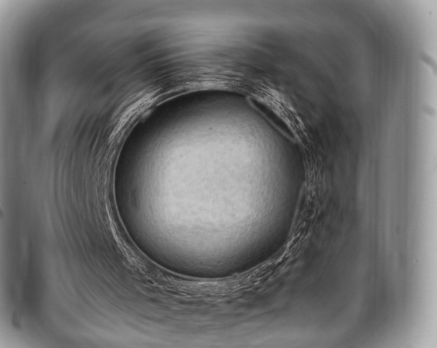 X0000096950001200802151248