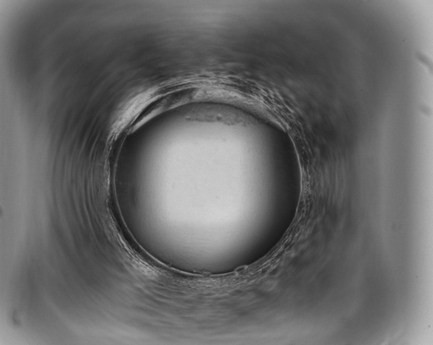 X0000096950005200802151248