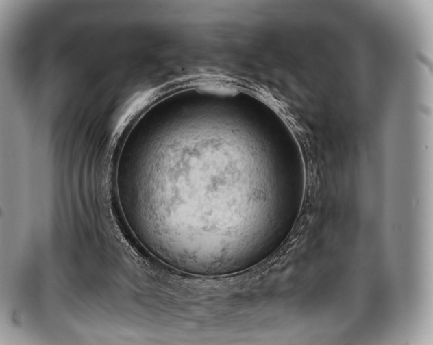 X0000096950007200802151248