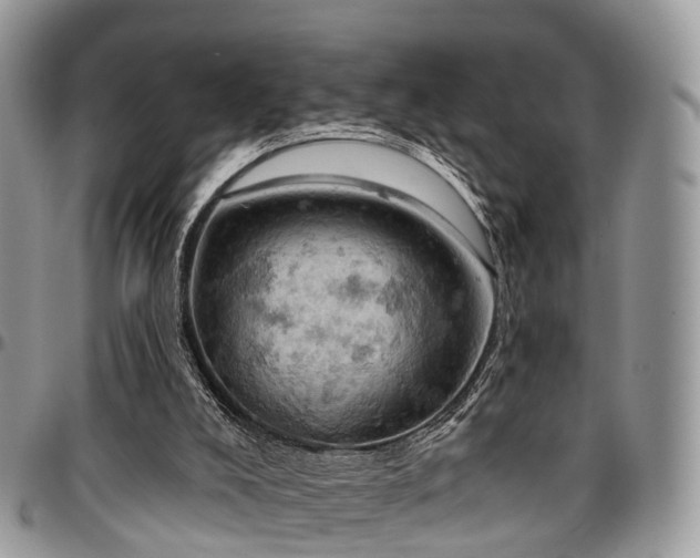 X0000096950008200802151248