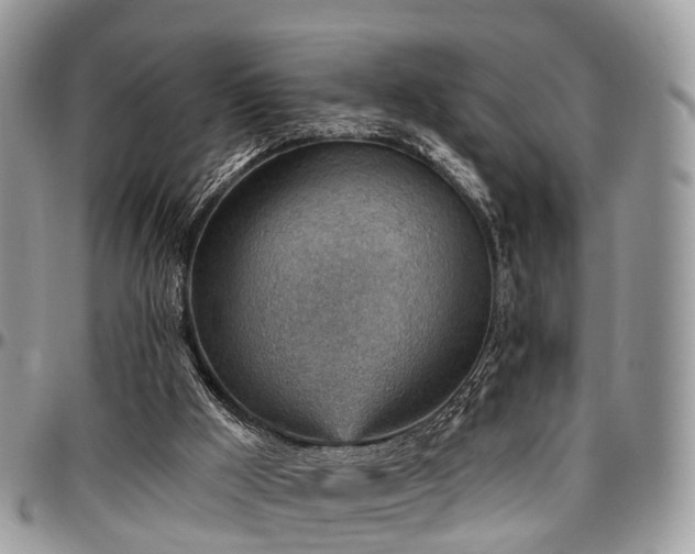 X0000096950009200802151248
