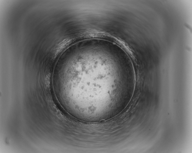 X0000096950010200802151248