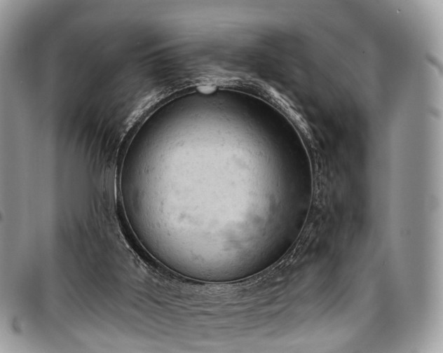 X0000096950011200802151248