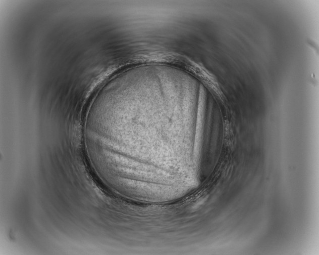X0000096950012200802151248