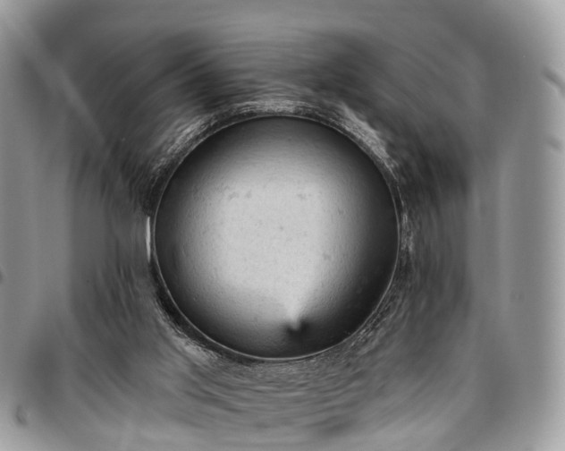 X0000096950013200802151248