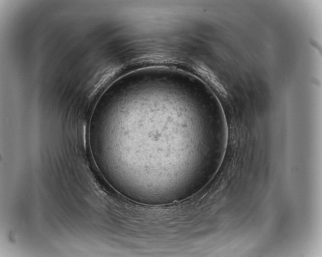 X0000096950014200802151248