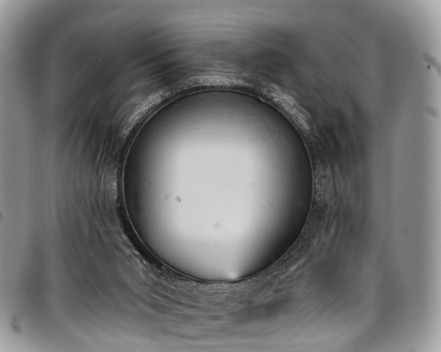 X0000096950015200802151248