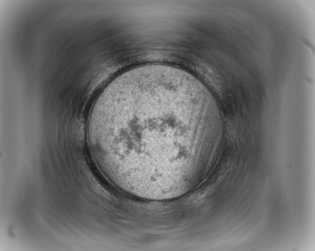 X0000096950016200802151248