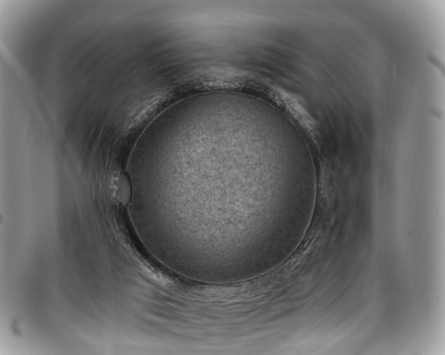 X0000096950017200802151248