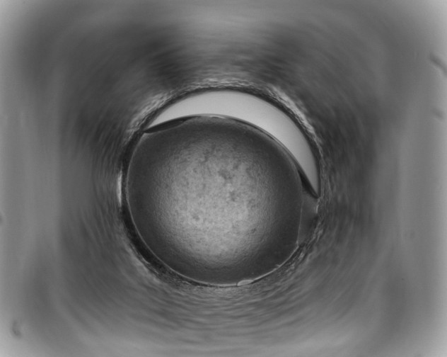 X0000096950019200802151248