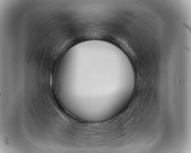 X0000096950021200802151248