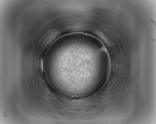 X0000096950022200802151248