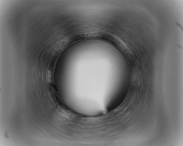 X0000096950025200802151248