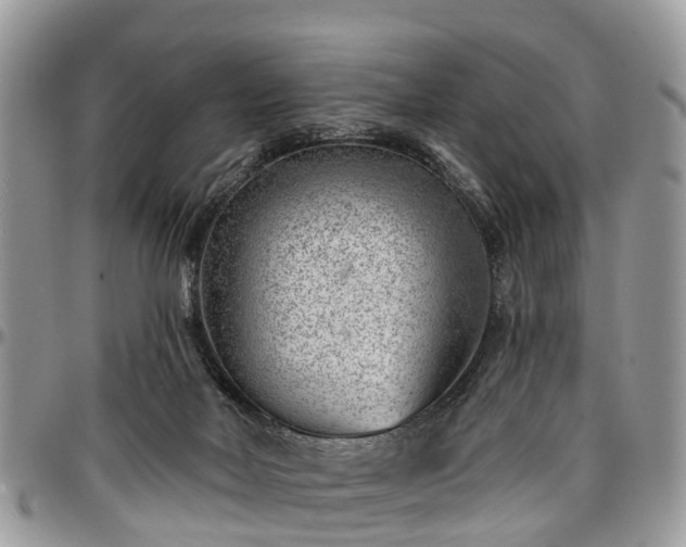 X0000096950026200802151247