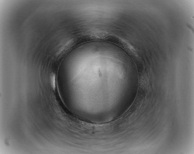 X0000096950027200802151247