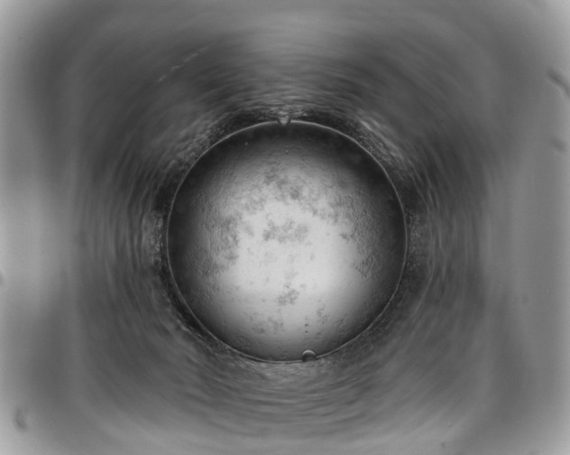 X0000096950030200802151247