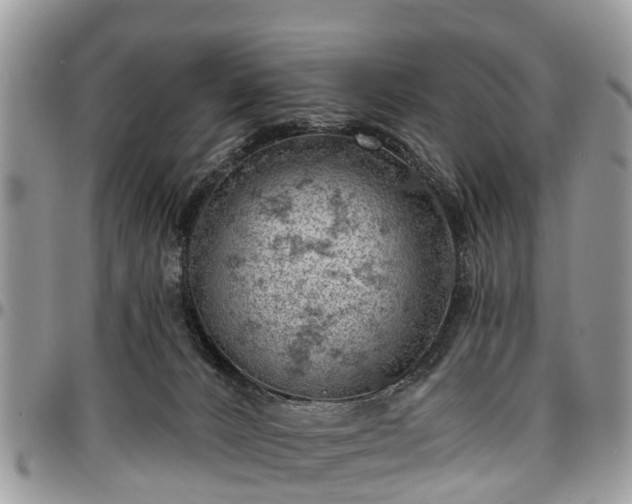 X0000096950032200802151247
