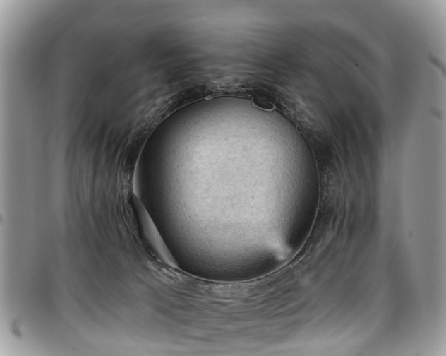 X0000096950033200802151247