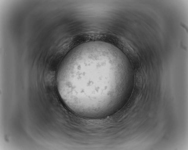 X0000096950034200802151247