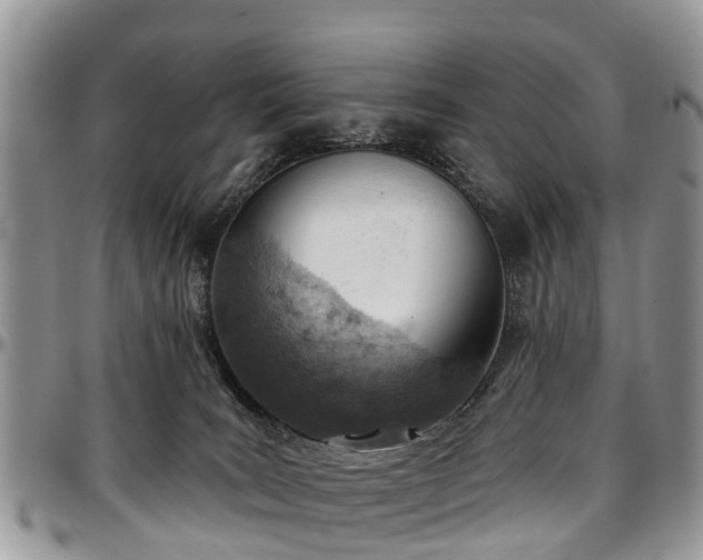 X0000096950035200802151247