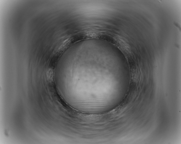 X0000096950036200802151247