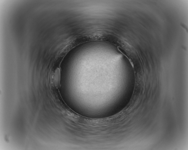 X0000096950037200802151247