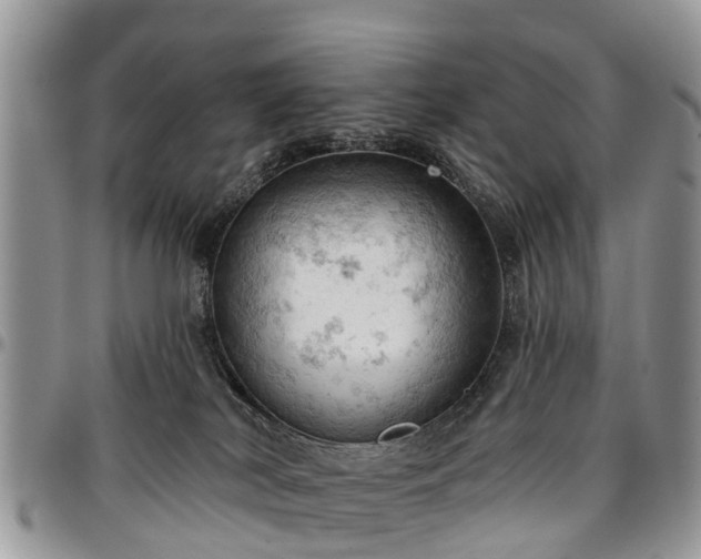 X0000096950038200802151247