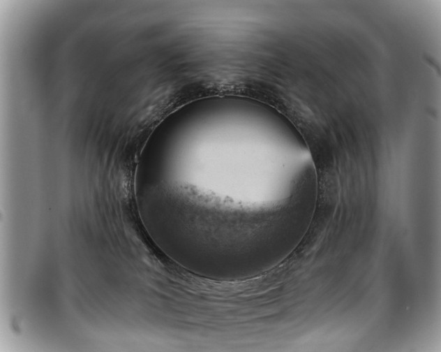 X0000096950039200802151247
