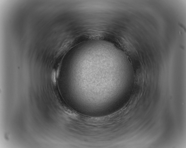 X0000096950041200802151247