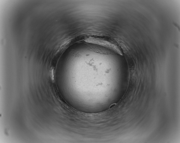 X0000096950042200802151247