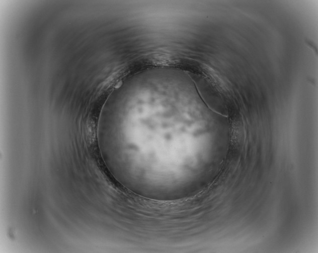 X0000096950043200802151247
