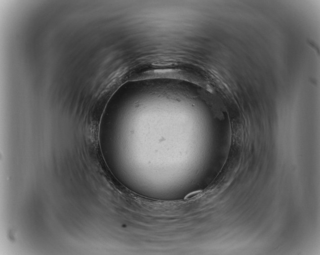 X0000096950044200802151247