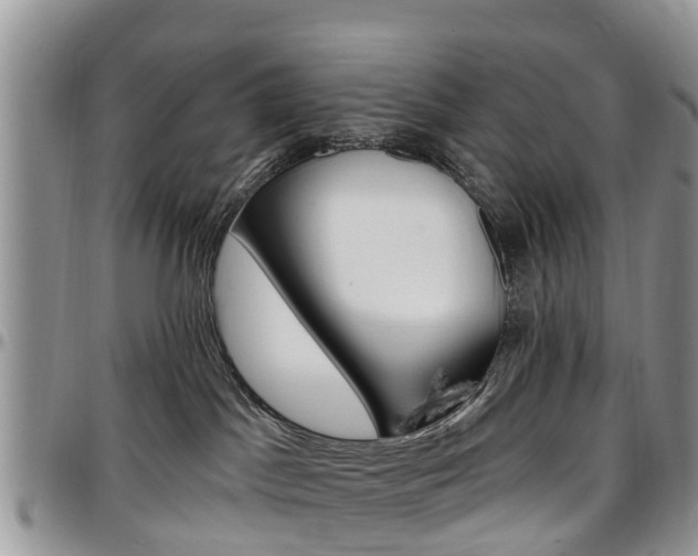 X0000096950045200802151247