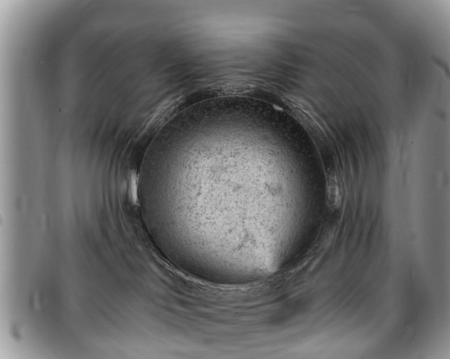 X0000096950046200802151247