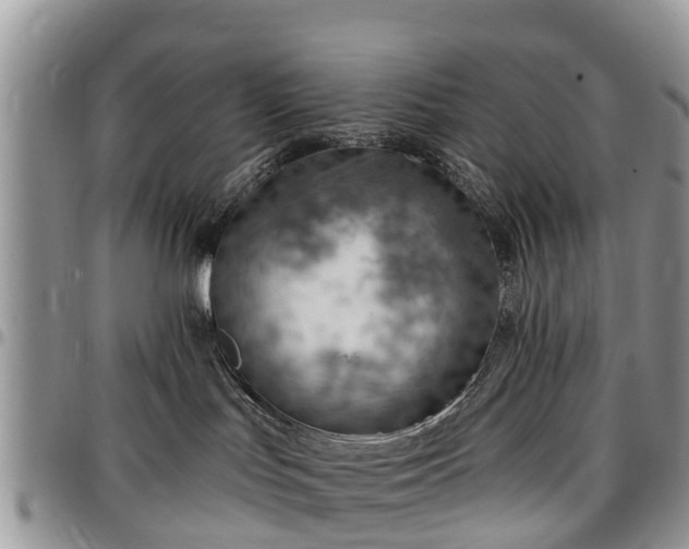 X0000096950047200802151247
