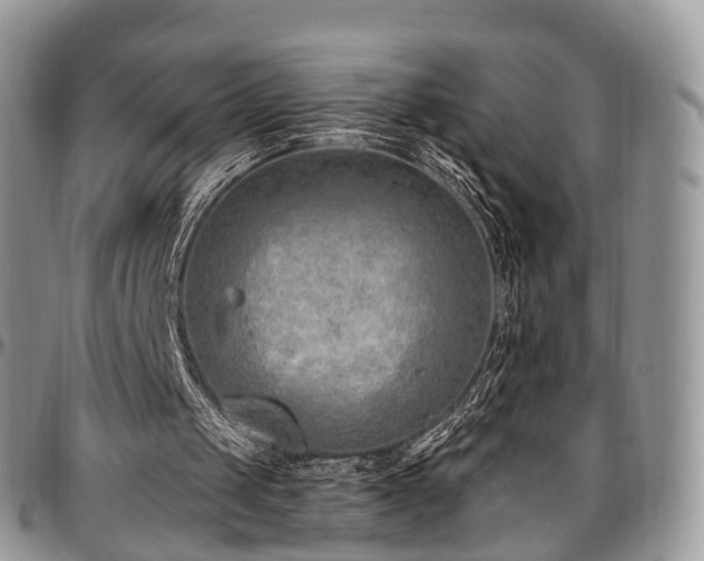 X0000096950049200802151247