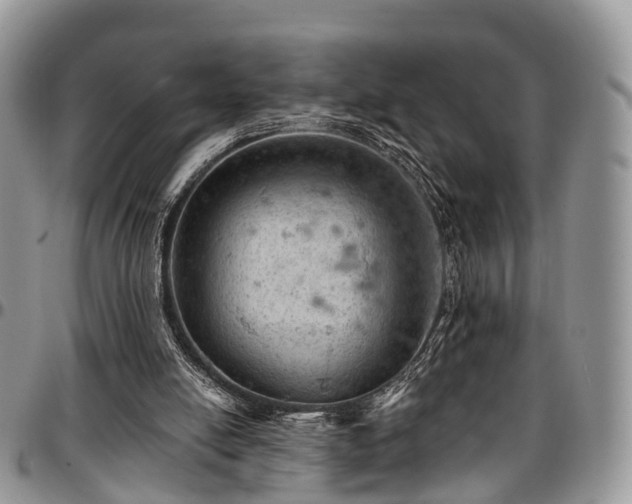X0000096950054200802151247
